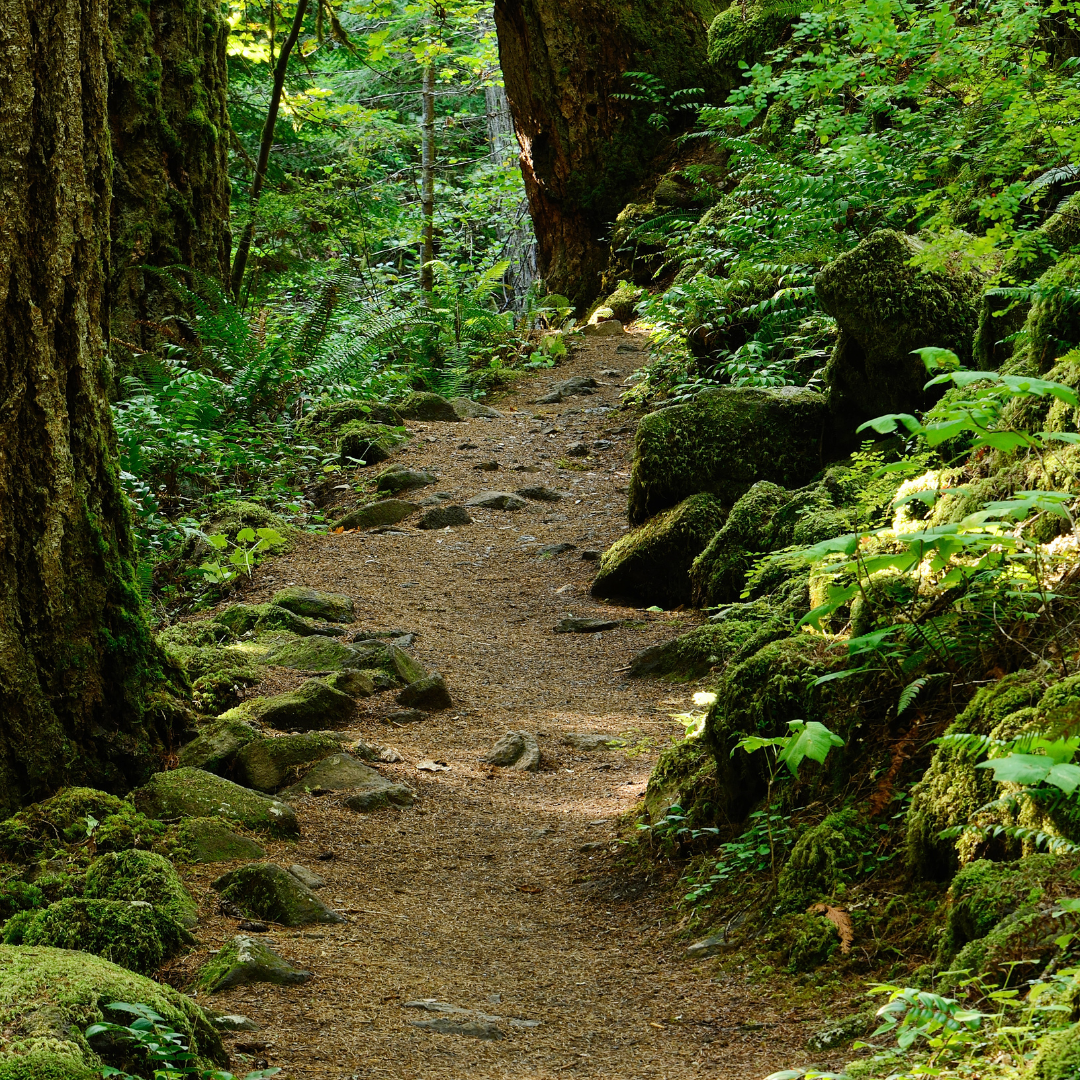 7 Principles of &#8216;Leave No Trace&#8217;