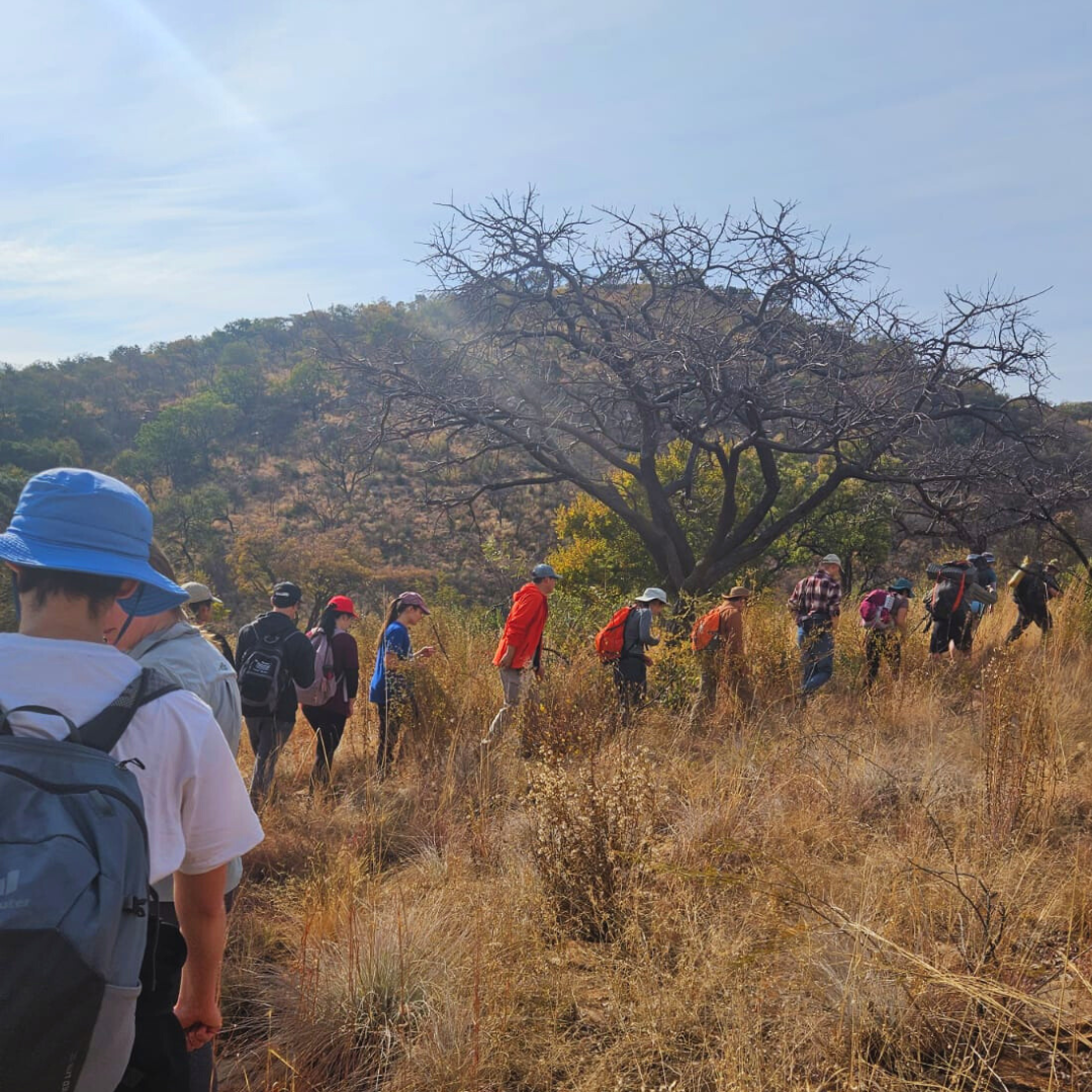The Benefits of Orientation Hikes