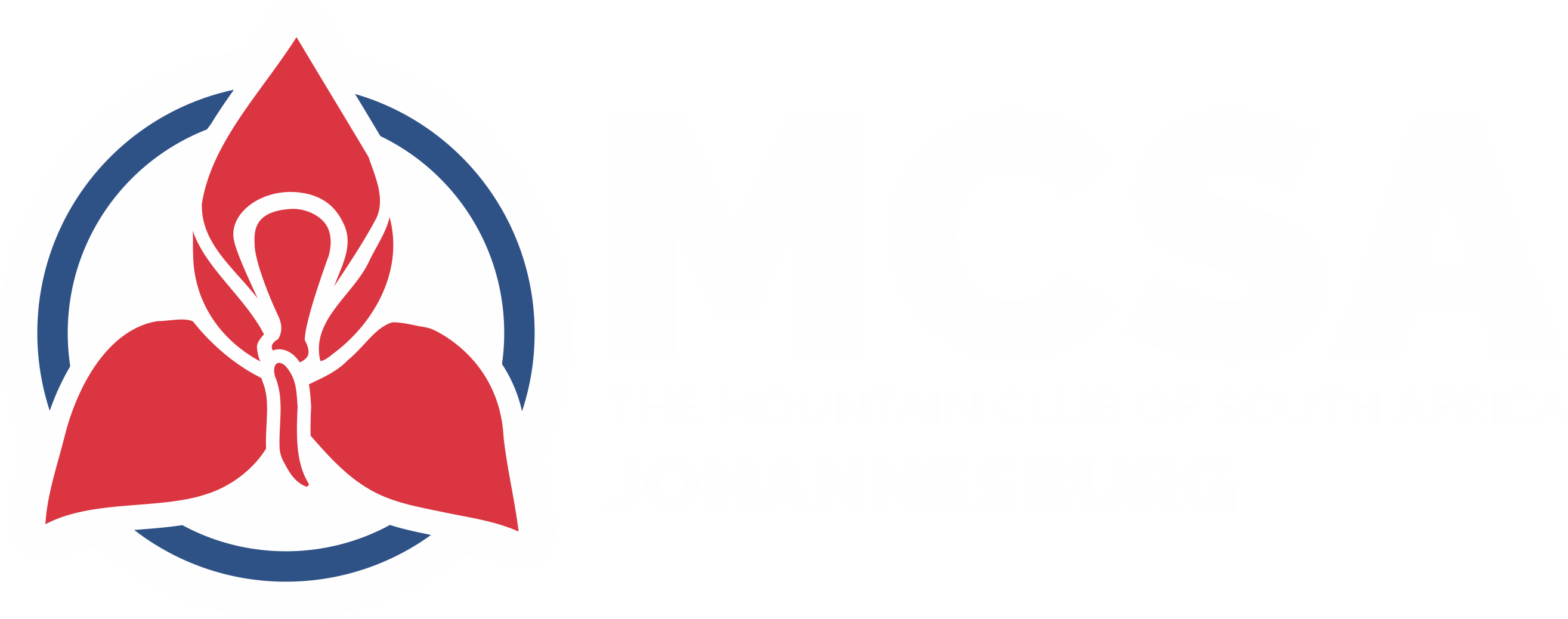 MCSA Johannesburg